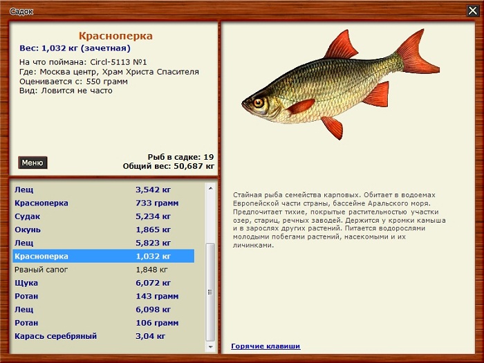 Реальная рыбалка карп зеркальный: полезная информация для рыболовов